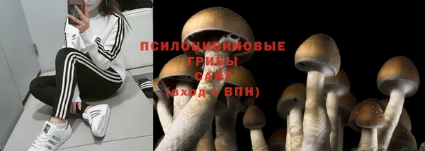 mdma Нефтегорск