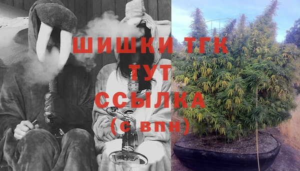МДПВ Нея