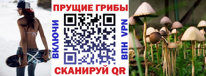 Псилоцибиновые грибы мицелий  купить наркотик  Куса 